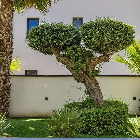 Villa Luxury Taboo & In For 8 People With Heated Pool & Wellness Area
